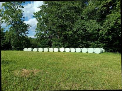 Silageballen