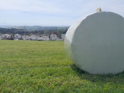 Bild 3:Silageballen
