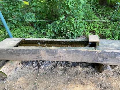 Bild 8:Fohlen-Aufzucht-Platz für 2 Hengste ab sofort