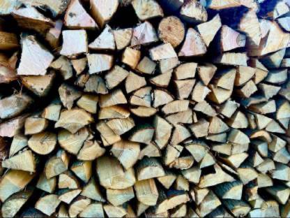 Brennholz Buche/ Esche