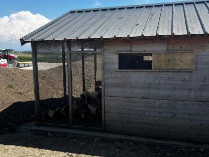 Bild 3:Hühnerstall für 150 Bio-Hühner