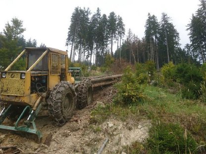 Ich werde einen Forsttraktor LKT 81 kaufen