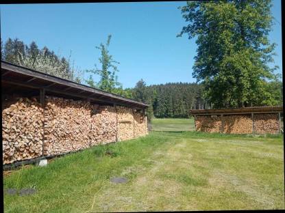 Bild 2:Brennholz Fichte