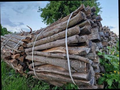 Brennholz Buche