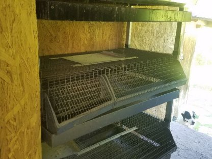 Wachtelkäfige zu verkaufen