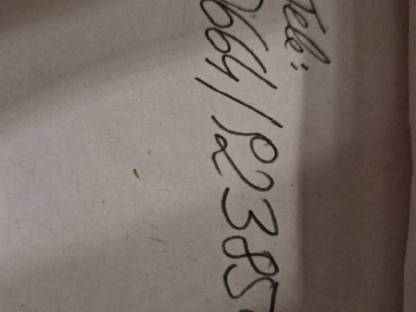 Bild 5:Löwenkopf Zwerghasen