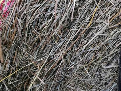 Bild 2:Heuballen Bio