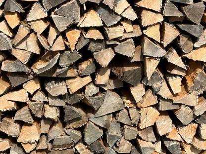 Brennholz Esche