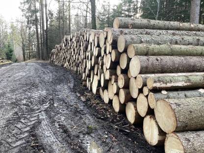 Holzschlägerung und Erdbewegung, Forstwegebau