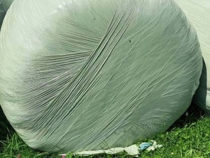Silageballen