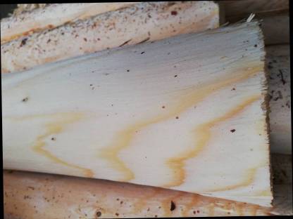 Bild 2:Sprungstangen Hindernisstangen