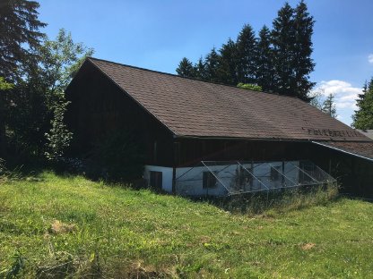 Bild 2:Stallgebäude in absoluter Alleinlage