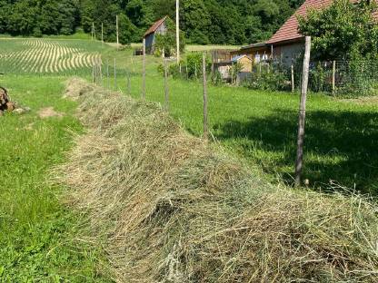Bild 3:Heu, Kleinballen, Schwedenreiter, Hifel, Heuballen