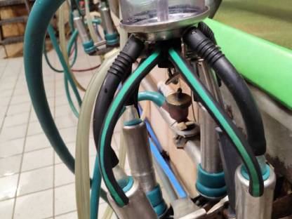 Bild 5:GEA Melkstand