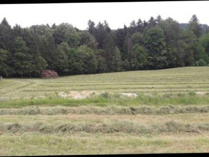 Bild 2:Zweiter Schnitt zu verkaufen