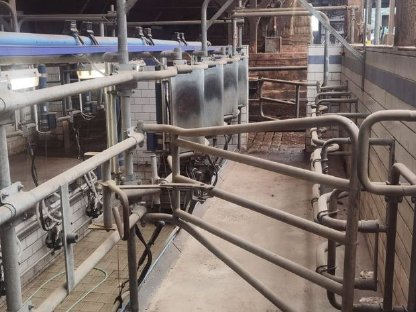 Bild 2:Melkstand Doppelvierer Alfa Laval