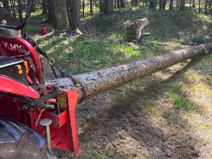 Bild 3:Forst und Grünlandpflege