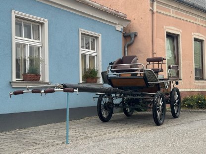 Trainingswagen/Wagonette Kutsche