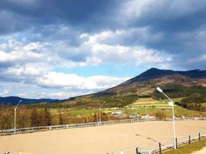 Bild 5:Einstellplätze im südlichen Waldviertel