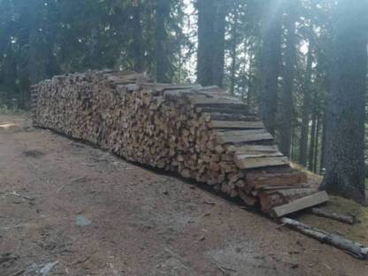 Brennholz