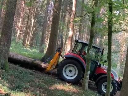 Bild 3:Forstdienstleistung
