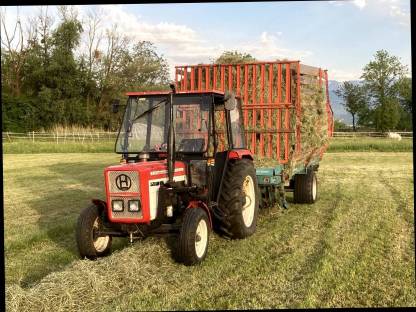 Lindner 520
