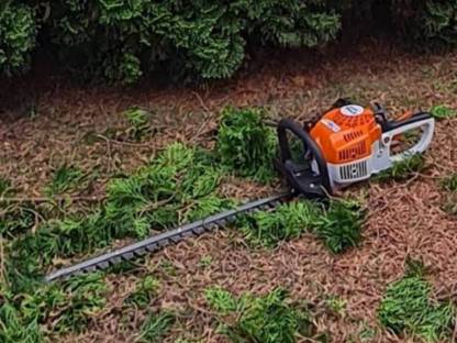 Bild 2:Übernehme Gartenarbeiten