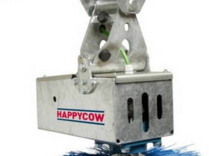 Bild 4:Swing Kratzbürste neues Modell