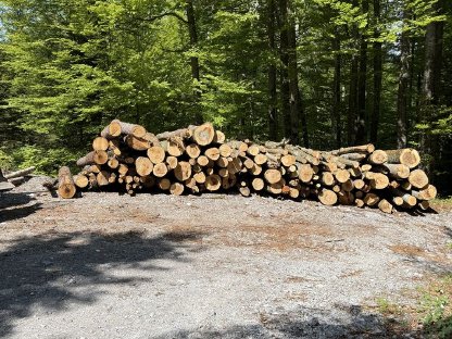 Hilfe beim Holzspalten
