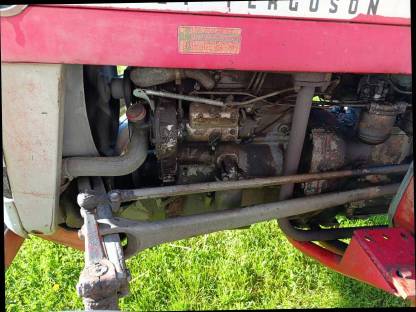 Bild 4:Massey Ferguson MF 135