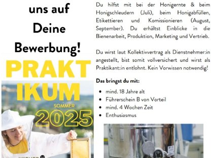 Praktikum in der Wiener Bezirksimkerei