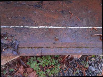 Bild 3:Radlader oder Frontlader - Volumenschaufel