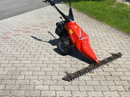 Reform RM626, Zahnriemen am Motor neu, Motormäher