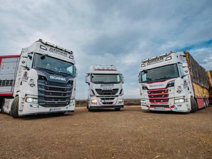 Suchen LKW-Fahrer für Lebendtiertransport