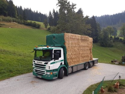 Bild 3:Stroh, Heu, Grumet, Silageballen, Maissilageballen