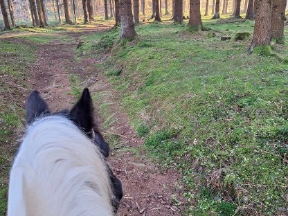 Bild 4:Gemütliche, gepflegte Einstellplätze frei