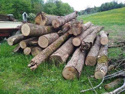 Hartholz Brennholz