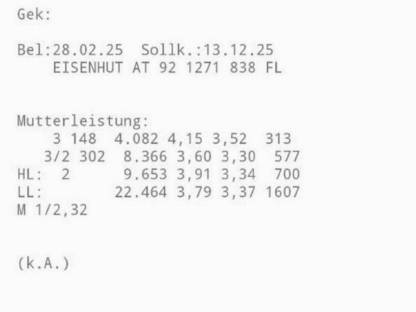 Trächtige Kalbin geeignet als Mutterkuh