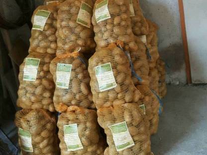 Bild 2:Waldviertler Bio-Kartoffeln