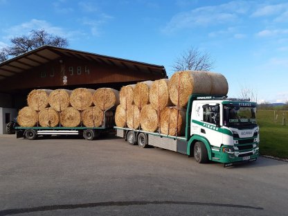 Bild 6:Stroh, Heu, Grumet, Silageballen, Maissilageballen