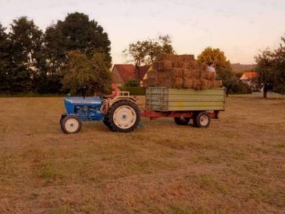Bild 3:Heu in Kleinballen