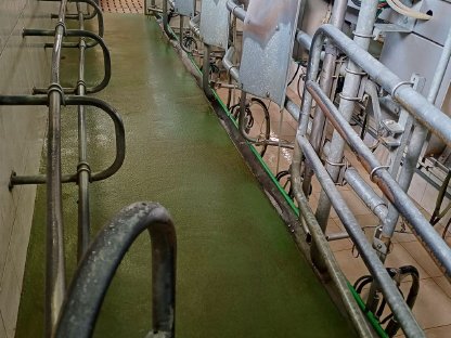 Bild 2:Biete Doppel 5er Fischgrätenmelkstand GEA