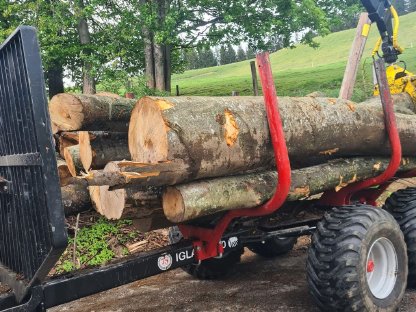 Buchenbrennholz 2 bis 4 m