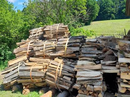 Brennholz Buche und Eiche