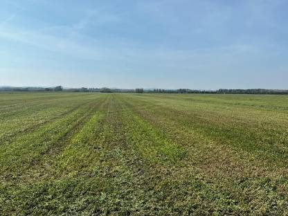 Bild 3:Suche Pachtflächen