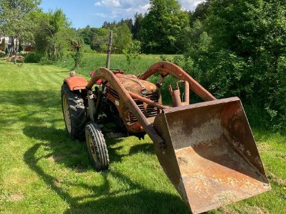 Steyr 188 Bj. 1962 Jubiläumsserie