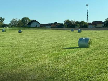 Grassilage, Siloballen