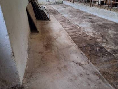 Stallvermietung