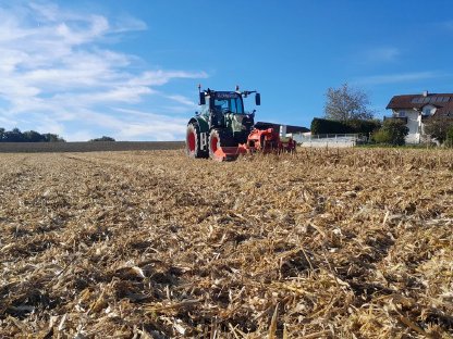 Bild 3:Mulcharbeiten