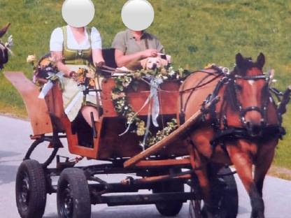 Kutsche Einspänner Steirerwagerl